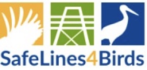 safe lines logo